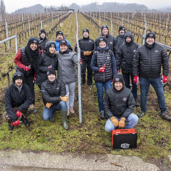 A vine pruning course for FELCO employees