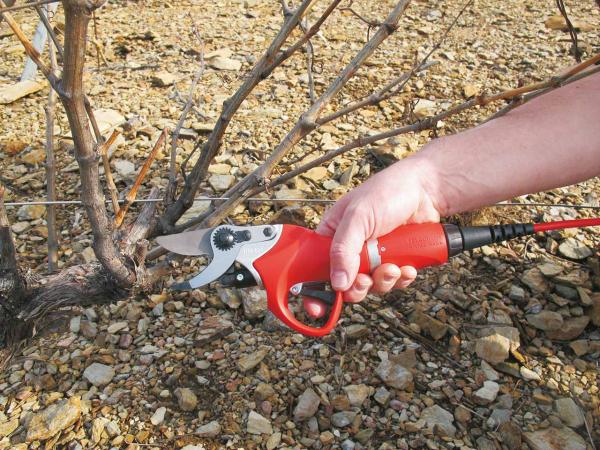 The FELCO 801, the ideal electric pruning shear for intensive pruning work.