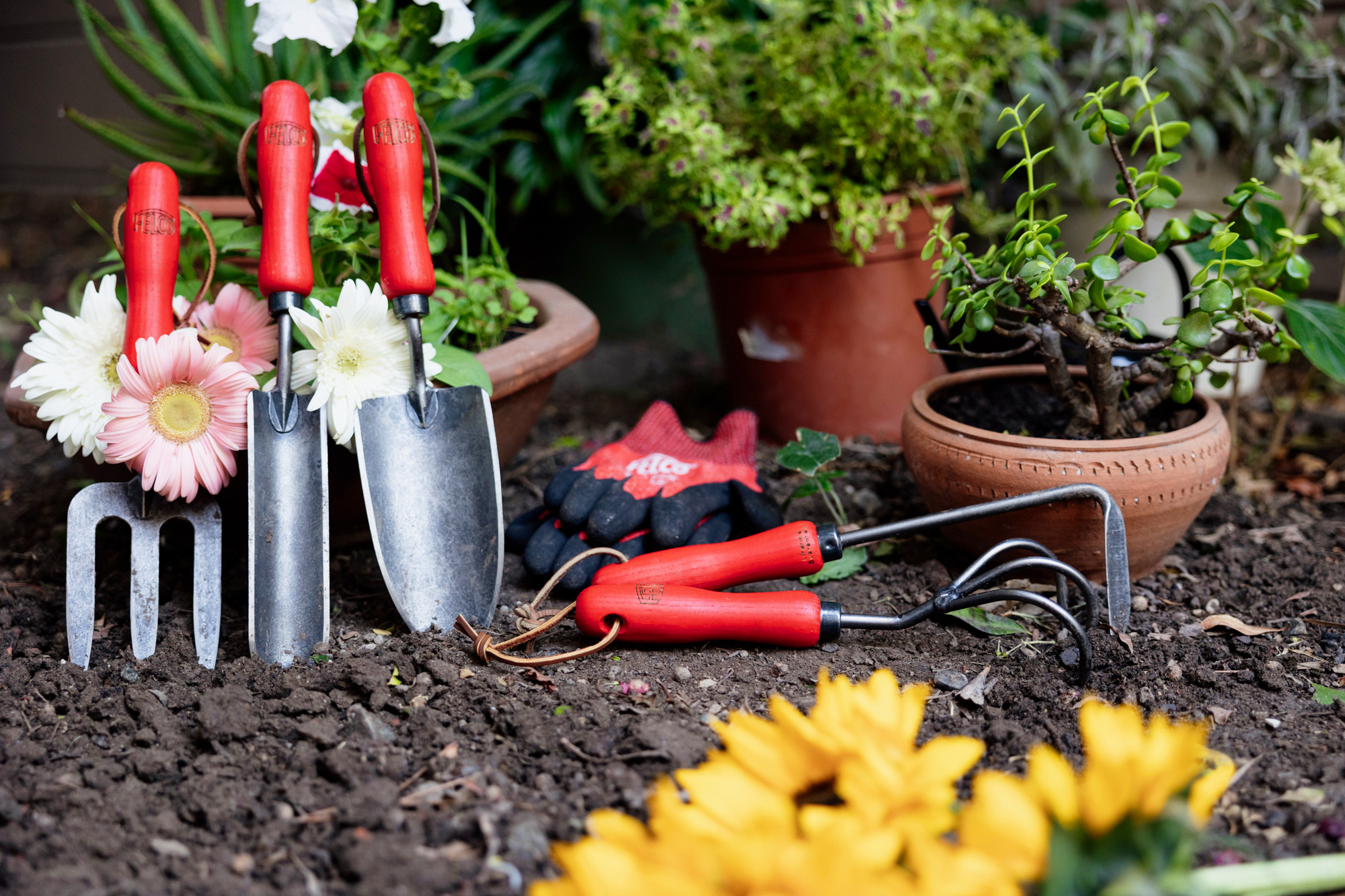 Outils de jardinage et leur utilité - Blog arrosage du jardin