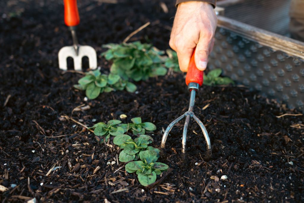 Nouvelle gamme d'outils de jardinage FELCO : pour une meilleure expérience  de jardinage - Zone Outillage